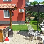Sunflowers Pomorie