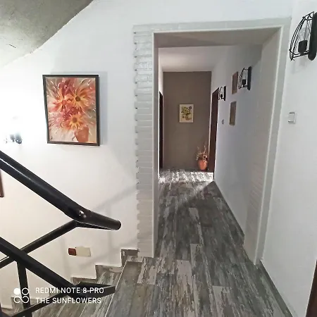 Sunflowers Гостевой дом 3*