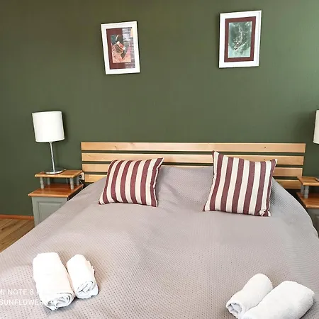 Sunflowers Гостевой дом 3*