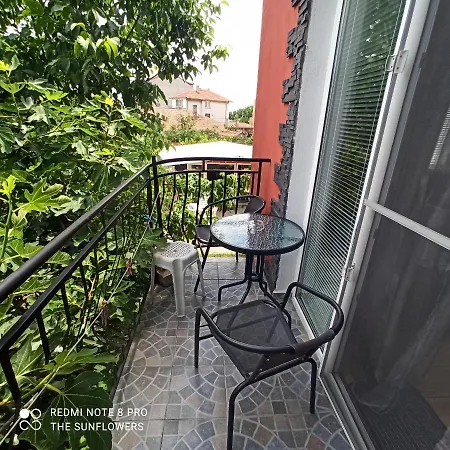 Sunflowers Гостевой дом 3*