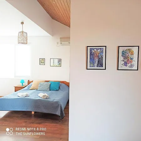 Sunflowers Поморие