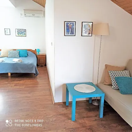 Sunflowers Поморие