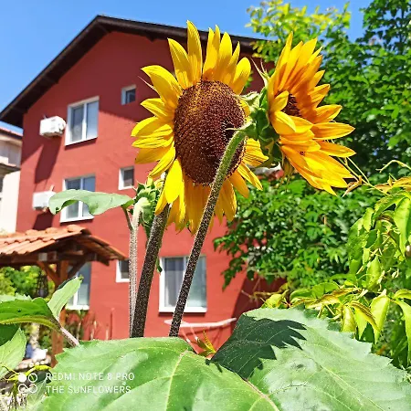 Sunflowers 3* Поморие