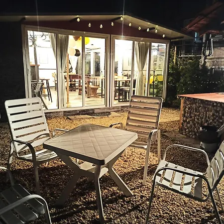 Sunflowers Поморие