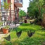 Sunflowers Affittacamere 4*