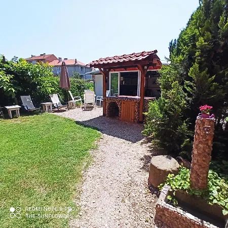 Sunflowers Πομόριε