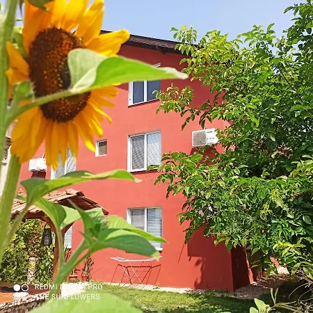 Sunflowers Penzion