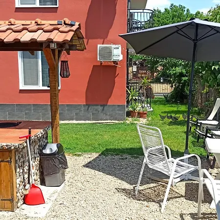 Sunflowers Pomorie