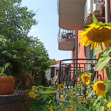 Sunflowers Penzion Pomorie