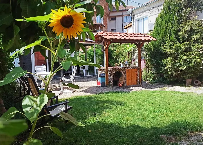 招待所 Sunflowers 4*